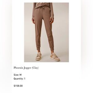 Greyson Phoenix Jogger in Clay